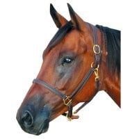 3/4" Amish Made Leather Halter