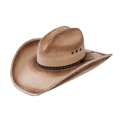 Jason Aldean Georgia Boy Palm Hat