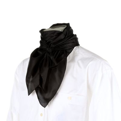 Wild Rag Silk Scarf 34.5" - Solid