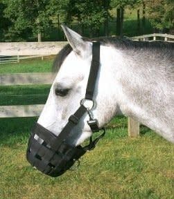 Best Friend Deluxe Grazing Muzzle - Cob
