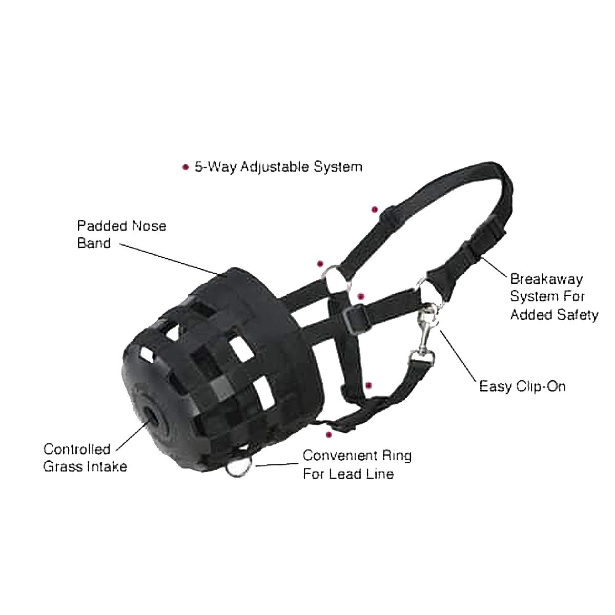 Best Friend Deluxe Grazing Muzzle - Cob