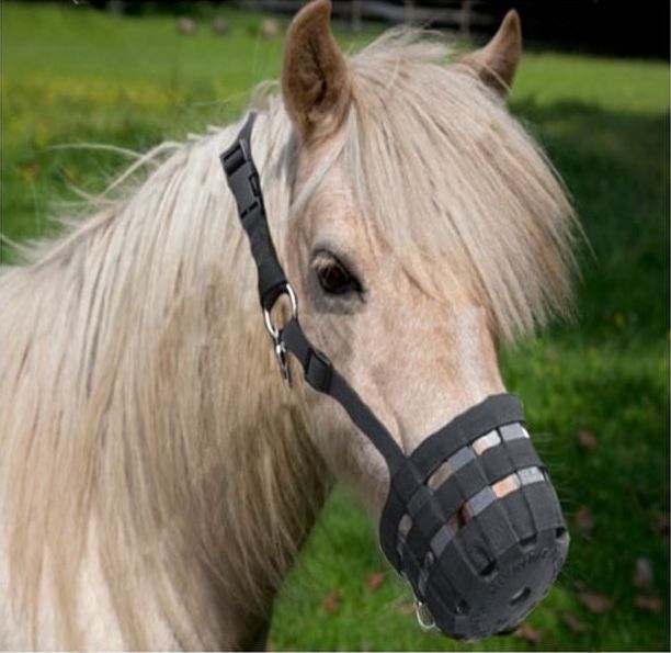 Best Friend Deluxe Grazing Muzzle - Pony