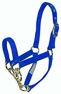 Cow Control Halter, Royal Blue