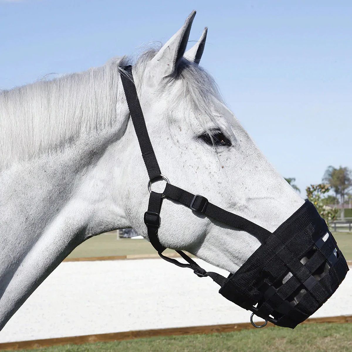 Best Friend Deluxe Grazing Muzzle - Horse