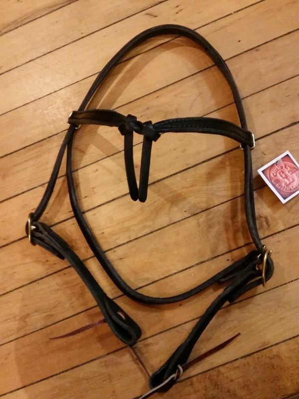 Circle L Futurity Knot Browband Headstall