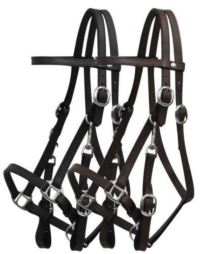 Showman Leather Halter Bridle Combo