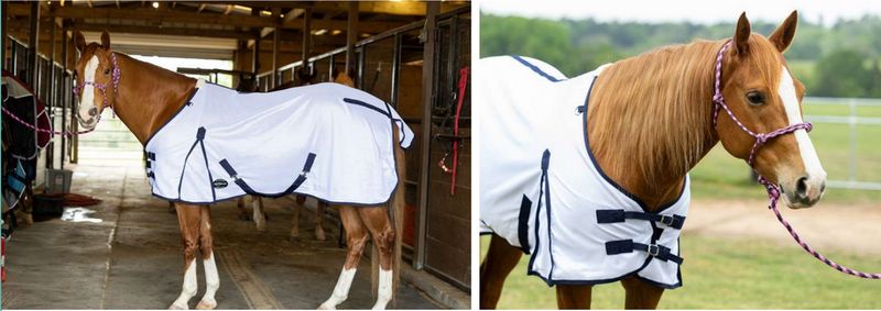 Reinman Fly Sheet