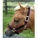 Adjustable Mini Nylon Halter