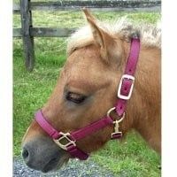 Adjustable Mini Nylon Halter