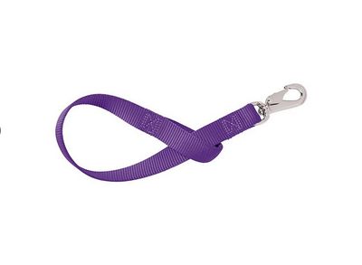 Nylon Bucket Strap - 1" x 22"