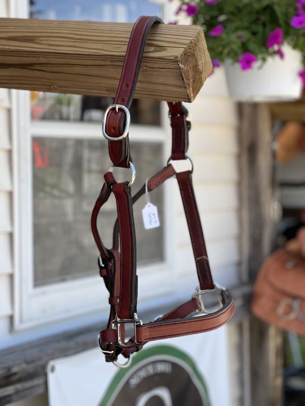 Circle L Leather Halter