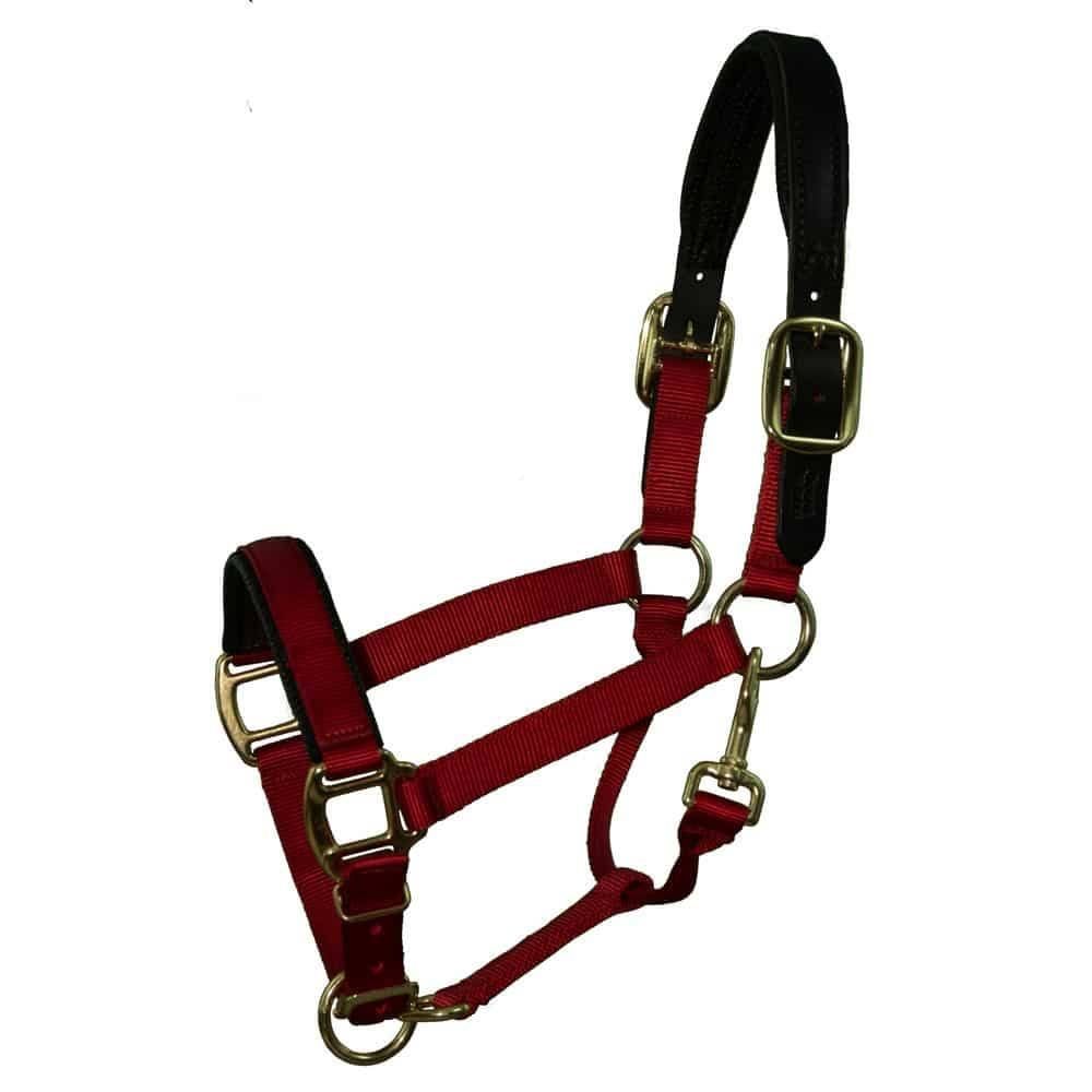 Padded Breakaway Crown - Fully Adjustable Nylon Halter
