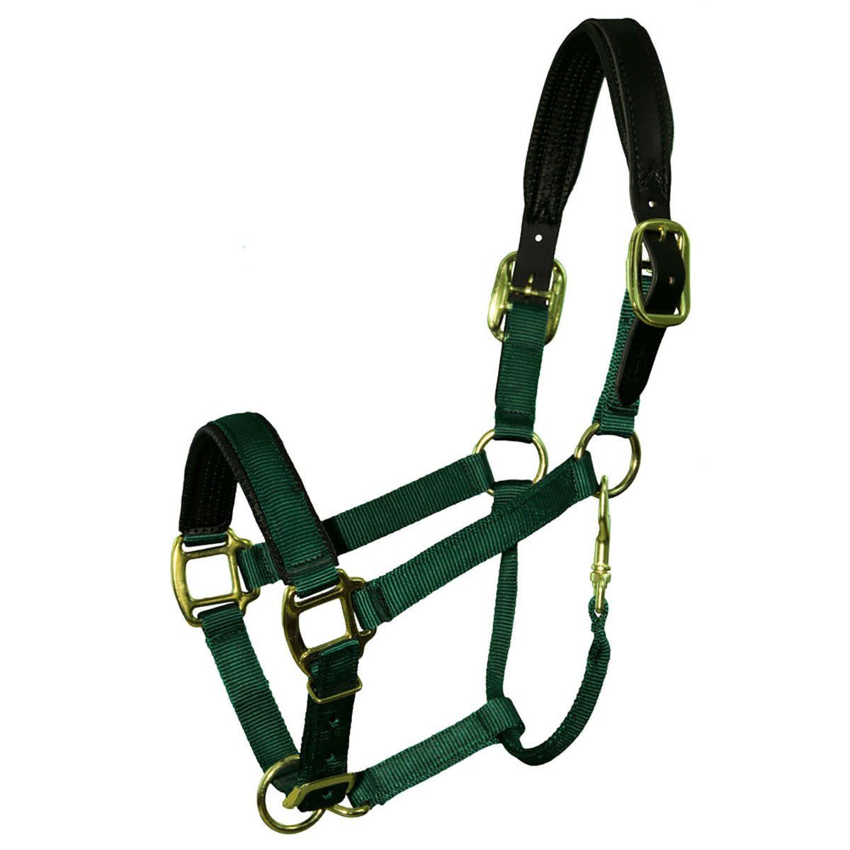 Padded Breakaway Crown - Fully Adjustable Nylon Halter
