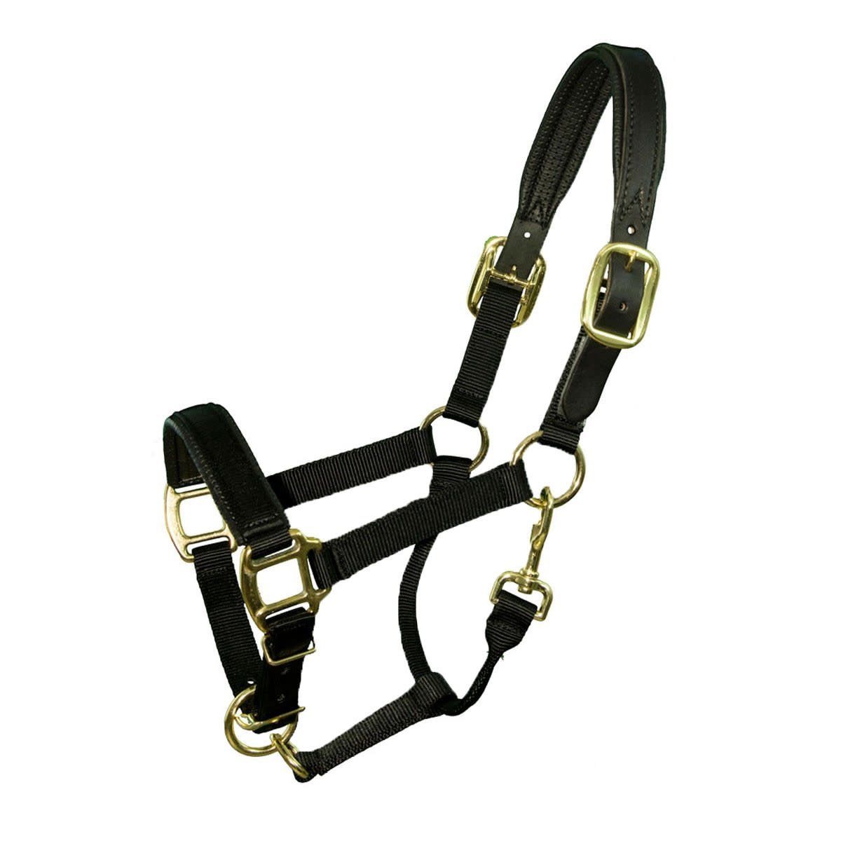 Padded Breakaway Crown - Fully Adjustable Nylon Halter