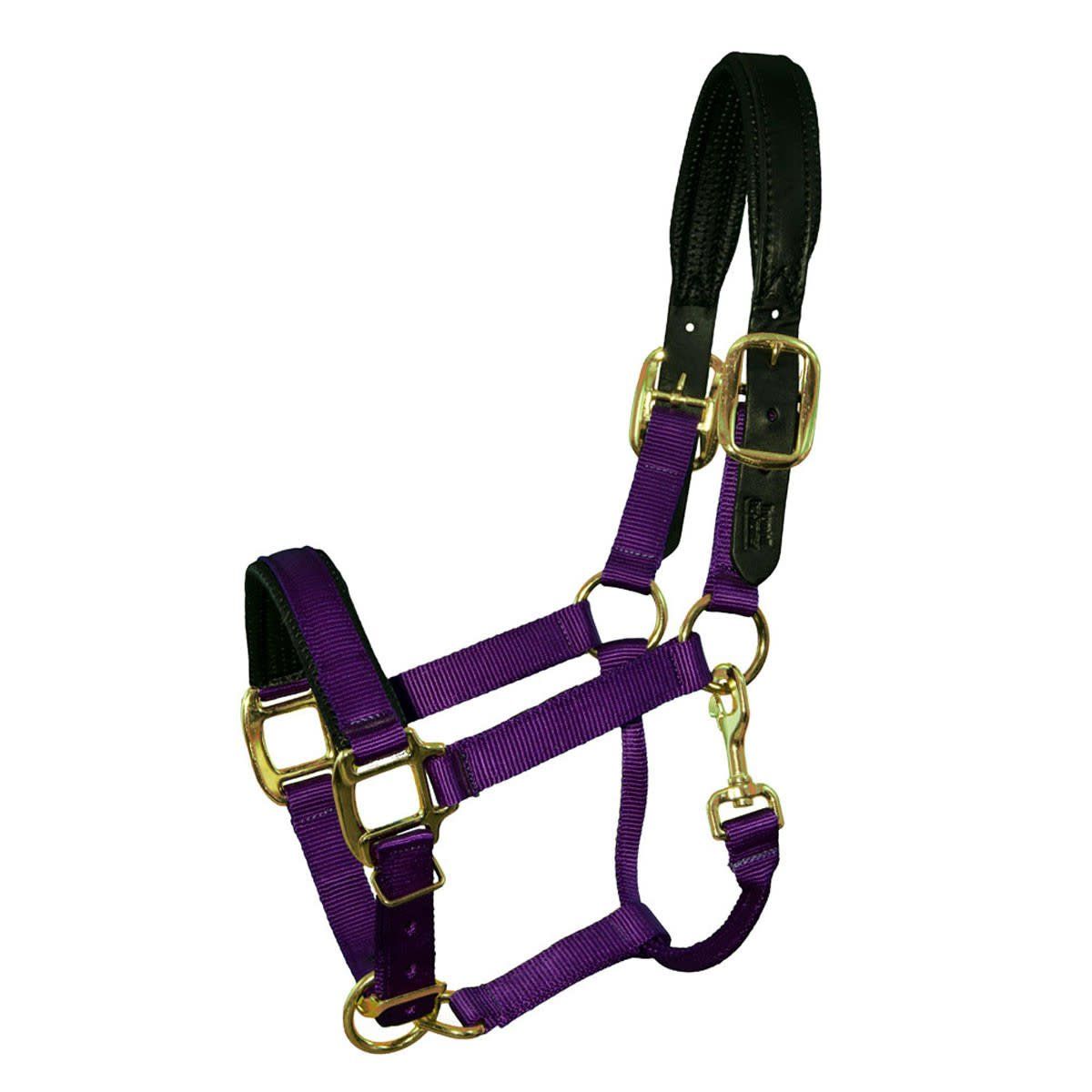 Padded Breakaway Crown - Fully Adjustable Nylon Halter