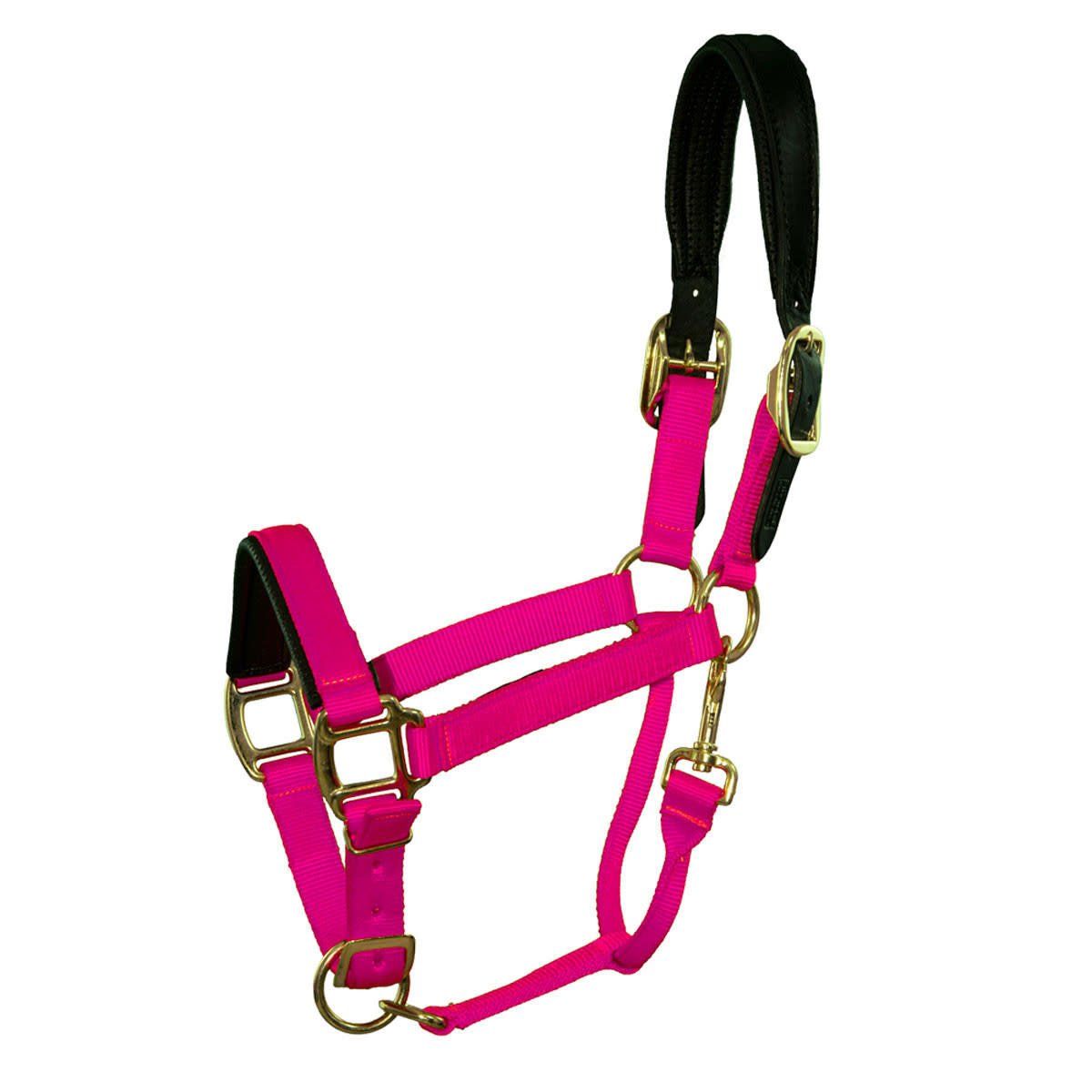 Padded Breakaway Crown - Fully Adjustable Nylon Halter