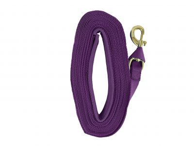 Showman Heavy Duty  Web Lunge Line