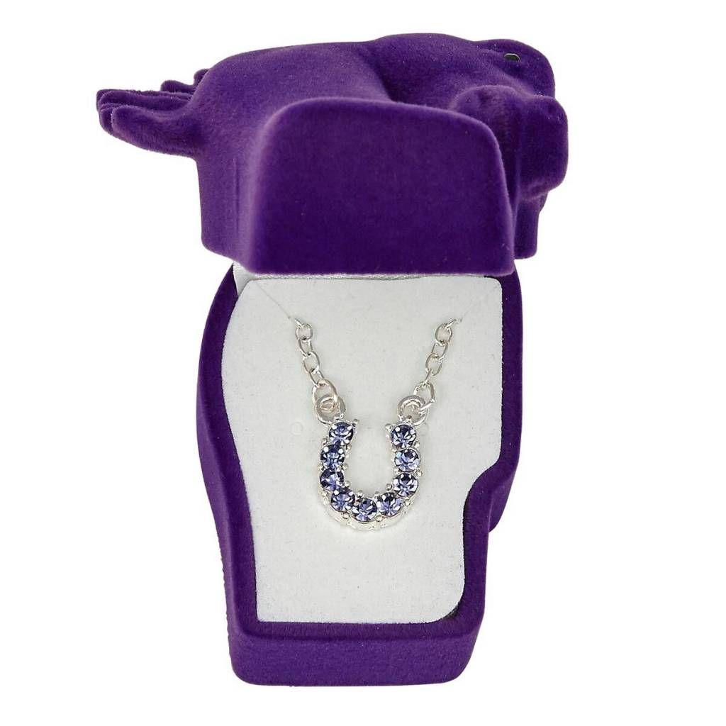 Necklace - Rhinestone Horseshoe