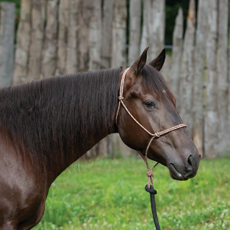 Silvertip Big Sky Rope Halter