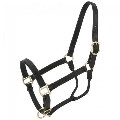 Triple Stitch Leather Halter - Black, Horse