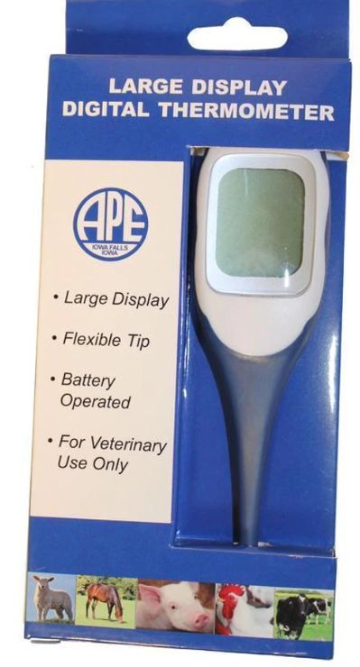 Digital Thermometer - Waterproof
