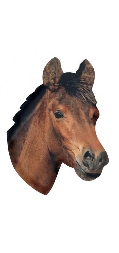 Magnet - Horse Head