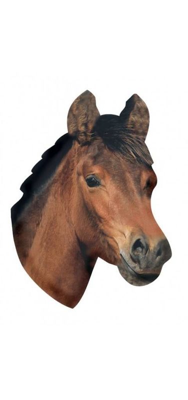 Magnet - Horse Head