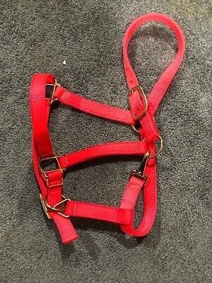 Plain Adjustable Nose Halter Blaze Orange Pony