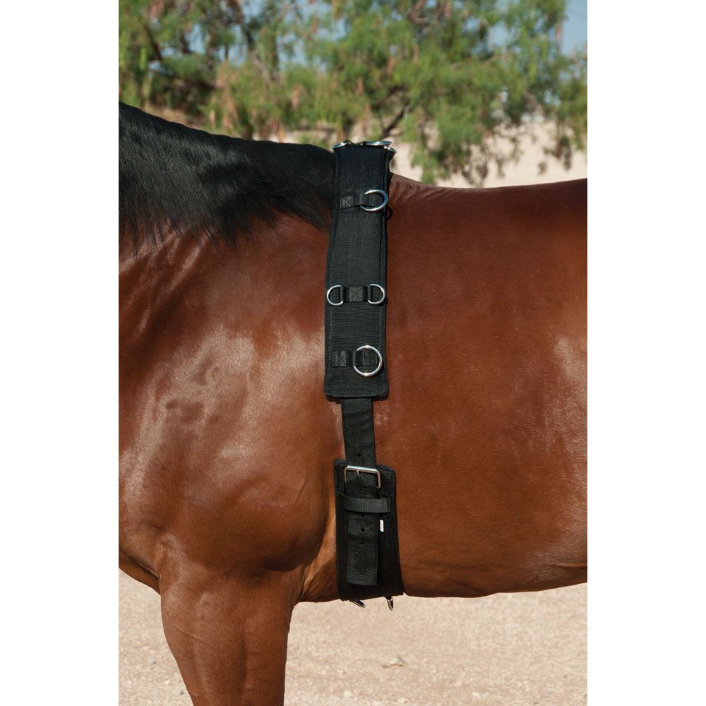 Training Surcingle with Fleece Padding - Pony