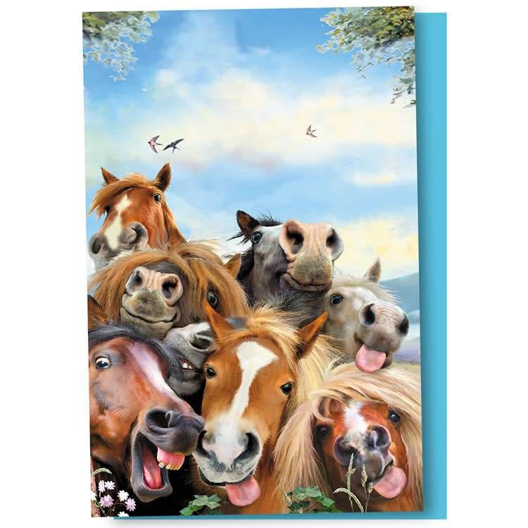 EcoNotes - Horse Selfie 12/ct Boxed
