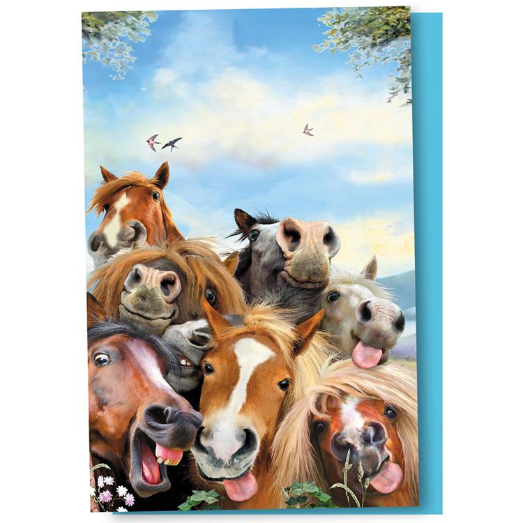 EcoNotes - Horse Selfie 12/ct Boxed