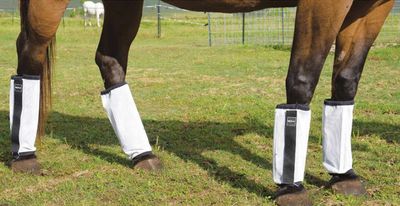 Reinsman Fly Boots