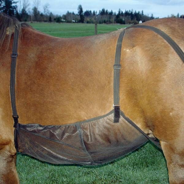 Quiet Ride Belly Guard