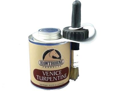 Venice Turpentine - 16oz