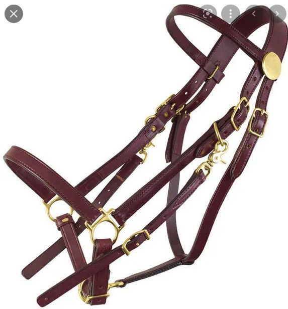 Circle L Leather Halter / Bridle Combo with Reins - Horse Size