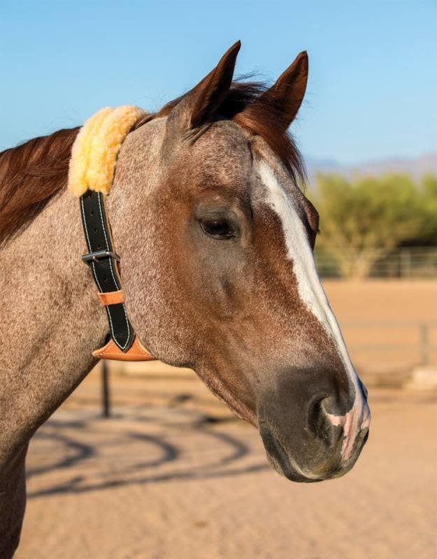 The Dare Cribbing Control Collar