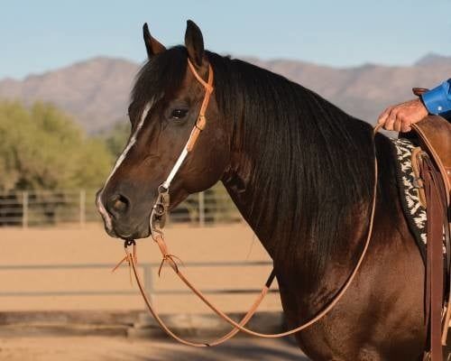 Easy-Change Rope Cheek Headstall