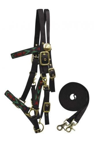 Nylon Halter Bridle Combo w/Reins 