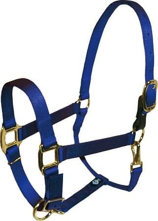 Nylon Adjustable 1" Halter with Breakaway Tab