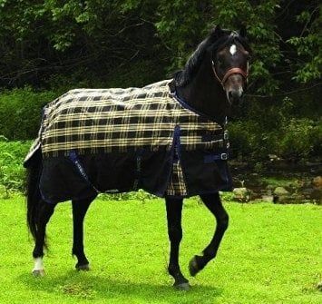 600D Turnout Sheet - 62"