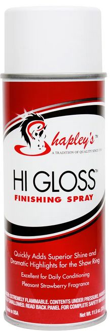 Hi Gloss Finishing Spray - 11.5OZ