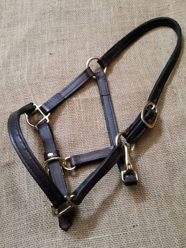 Leather Halter brown pony/foal