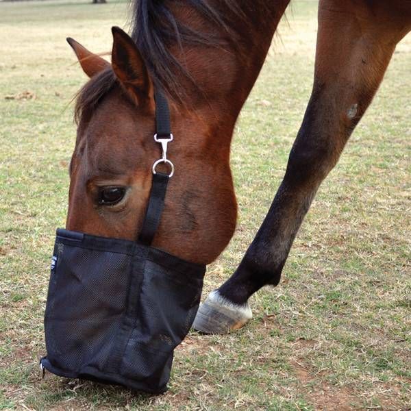 Feed Rite Bag