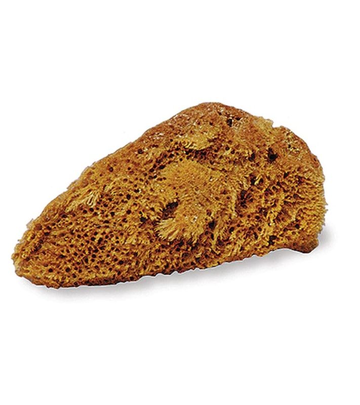 Natural Tack Sponge - Small