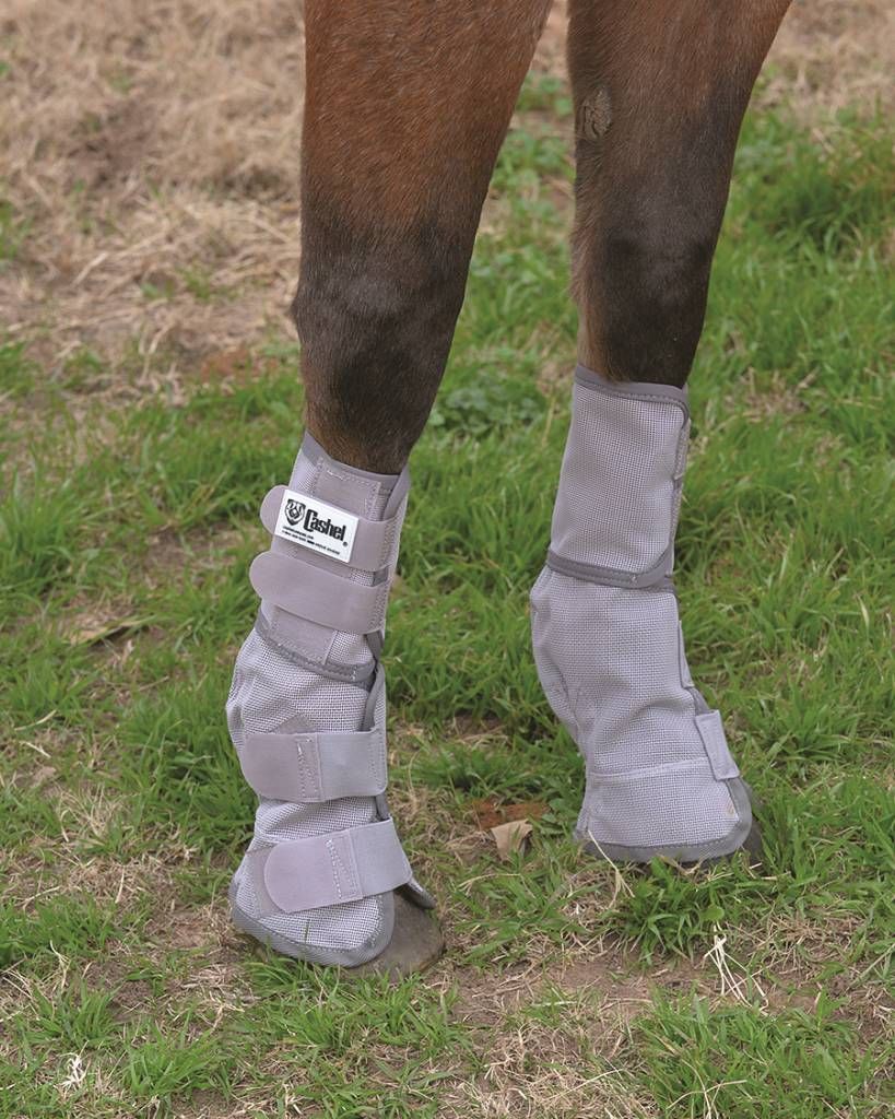 Crusader Leg Guard - Horse