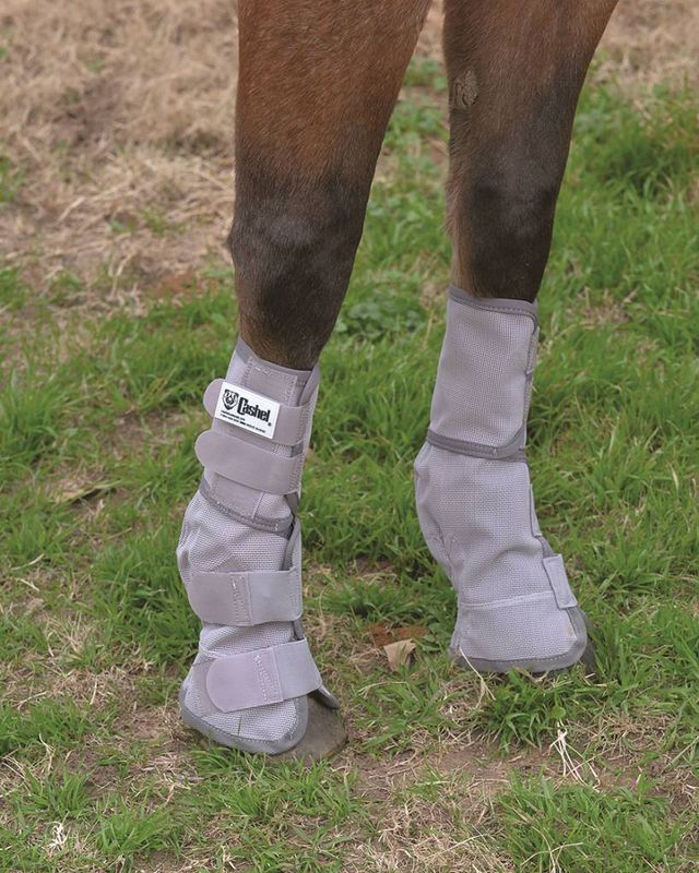 Crusader Leg Guard - Horse