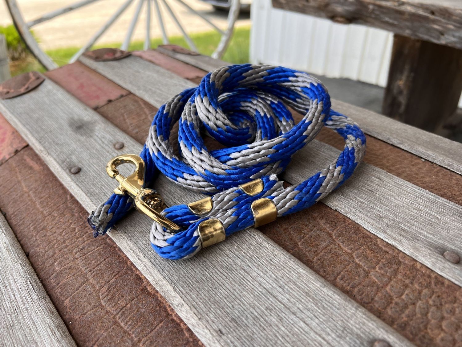 Nylon Lead - Blue and Silver