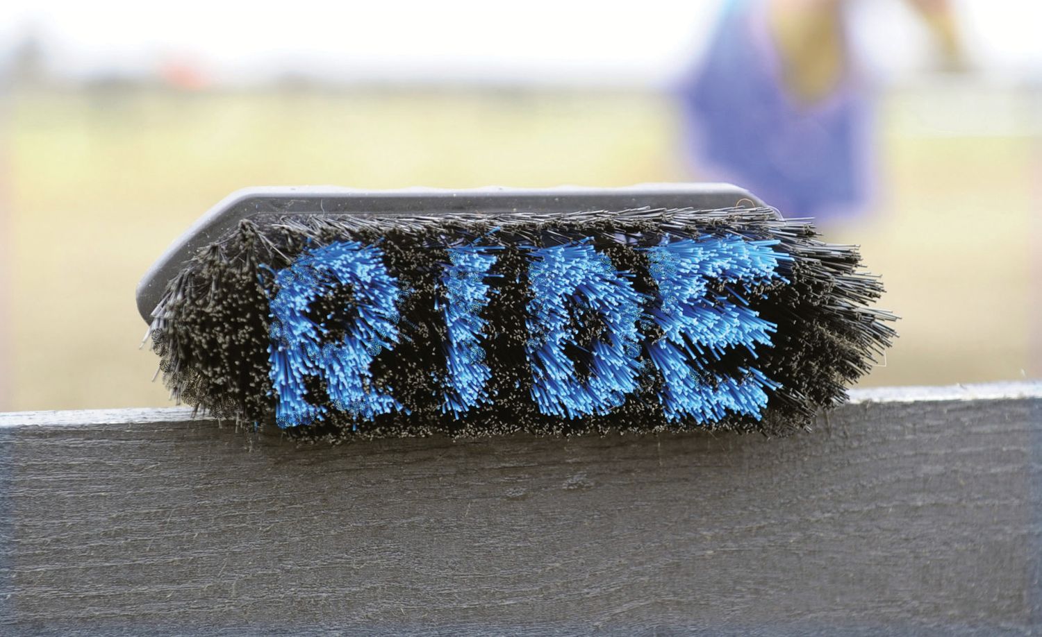 Large Brush - "RIDE" Assorted Colors