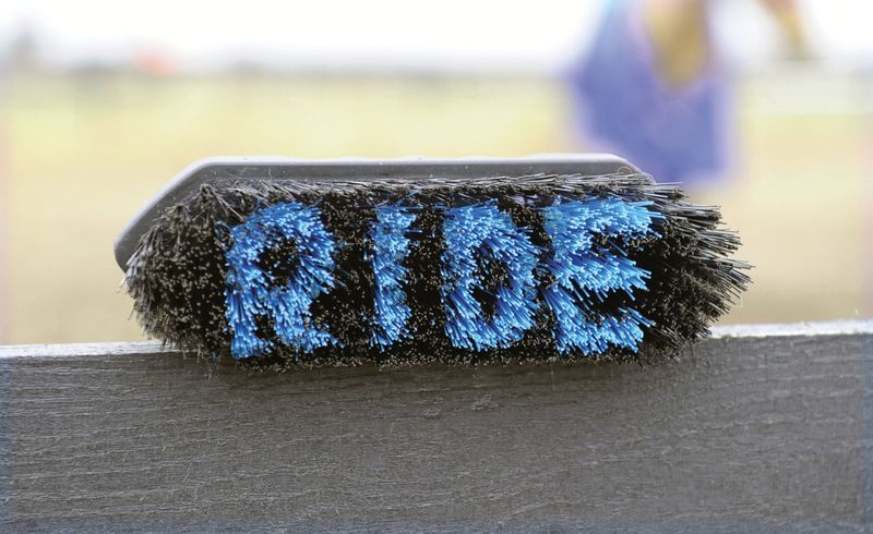 Large Brush - "RIDE" Assorted Colors