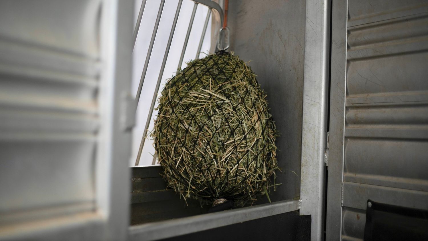 Hay Chix - Quarter Bale Net 1-3/4"